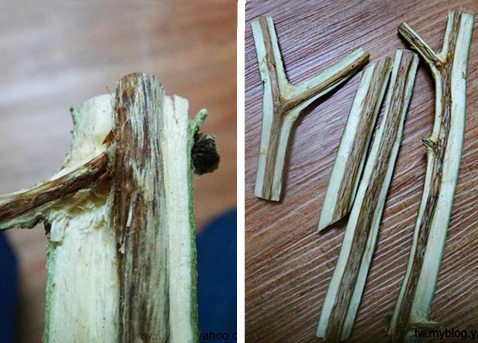 沉香木切割畫面